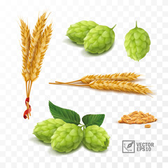 3d realistic set for beer, ears and grains of wheat, hop cones