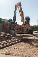 Fototapeta na wymiar Industrial loader transports logs at a sawmill