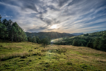Green meadow with trees and mountains at sunset