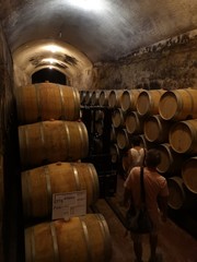 Montagne-Saint Emilion