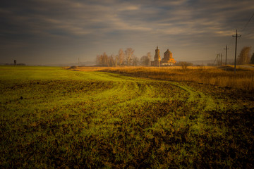 Fototapeta premium sunset over the field