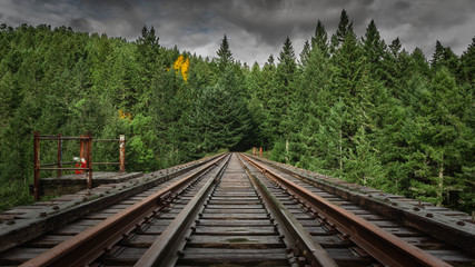 Fototapeta premium railway in the forest