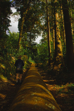 person in the forest next to a pipe