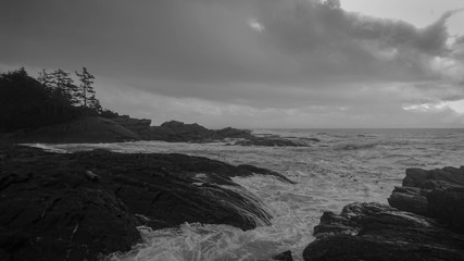 Fototapeta premium Ocean Shoreline