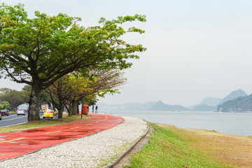 A coast street with a green tree and a red road