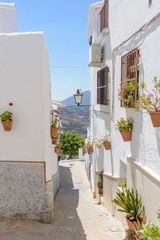 Fototapeta na wymiar Olvera. Typical white village of Spain in the province of Cadiz in Andalusia, Spain