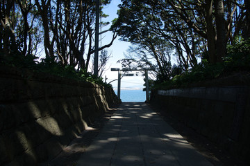 酒列磯前神社　鳥居　太平洋