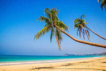 Beautiful Ngapali beach, white sand, palm trees, Myanmar