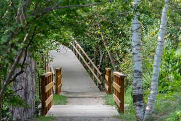 People enjoying the Valira del Orient river in Cami Ral in summer in Andorra.