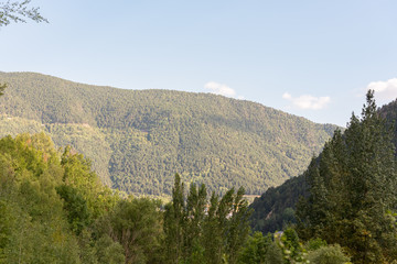 People enjoying the Valira del Orient river in Cami Ral in summer in Andorra.
