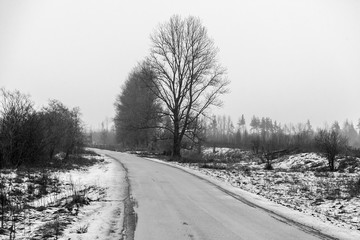 Empty asphalt road in spring field with snow