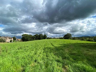 Obraz premium Landscape view, looking over a meadow, with long grass, with trees, houses, and heavy rain clouds in, Allerton, Bradford, UK