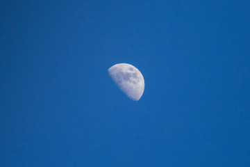 moon in the sky