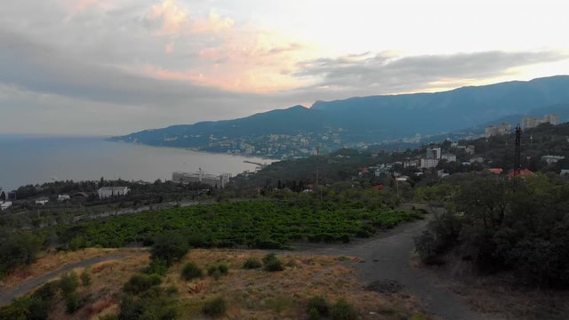 
aerial view of the city of yalta over the vineyards
