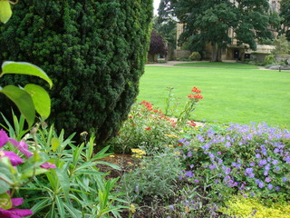 garden with flowers