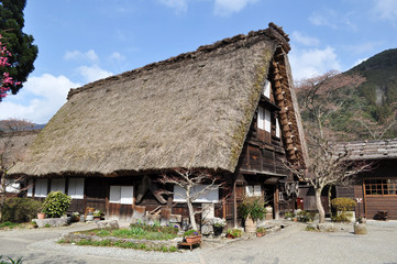 Fototapeta na wymiar 下呂温泉合掌村のわらぶき屋根の古民家2