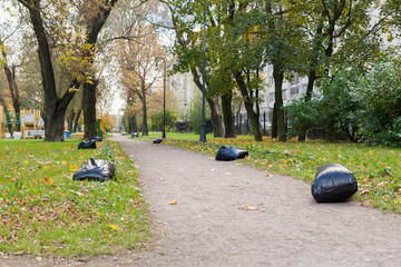 Garbage bags with fallen leaves on an alley in an autumn park