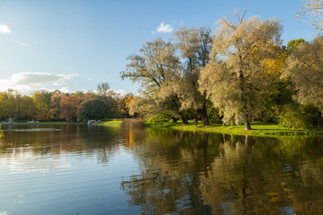 Fototapeta na wymiar Autumn park landscape with bright trees