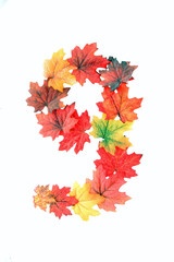 Alpha numeric sets of numbers 0 to 9 and letters A to Z made  using fall leafs, artificial type of rich autumn color, red, orange, golden earth tones, convey ot is in nature fall colors and style.