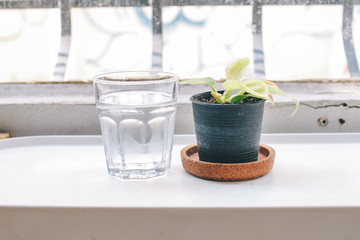 Fresh water in the glass and flowerpots by window in stylish loft with white walls and sunlight.. Drinking clear water concept, minimalist home kitchen composition.