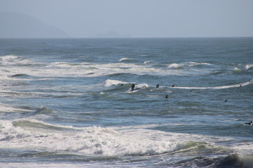 Pacific Coast