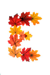 Colorful alpha numeric set of  individual characters of the alphabet A to Z,Made using artificial  leaves or leaf, rich autumn earth tones reds, ornafes, yellows, golden tones, say it colorfully'