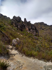 Parque Estadual do Itacolomi, Ouro Preto, Minas Gerais, Brasil.