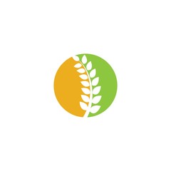 Wheat logo template vector icon