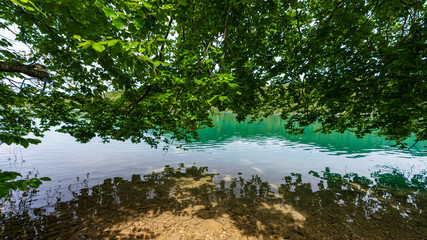 Seeufer am Fuschlsee in Salzburg