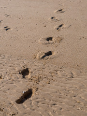 Footprints in the sand. Footsteps on the shore