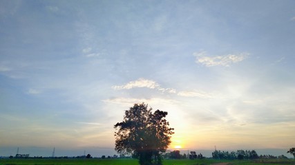 Evening sunset in the field