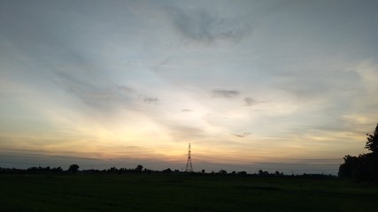sunset over the field