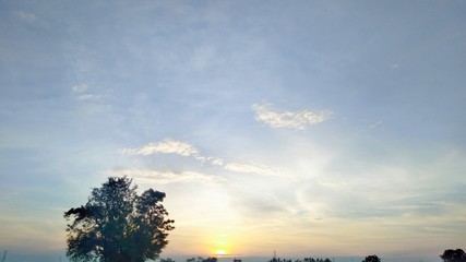 sunset in the forest