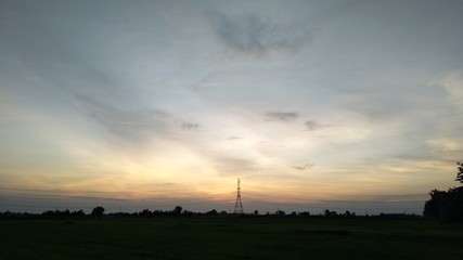sunset in the field