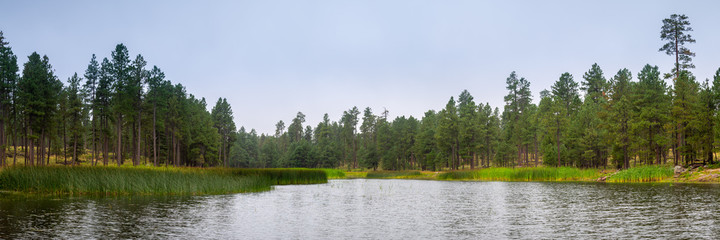 Mogollon Rim on Northern Arizona
