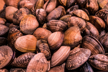 Full frame of cockles in a seafood market
