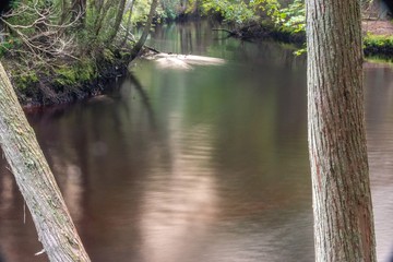 Fototapeta na wymiar Long Exposer Stream In The Woods. High quality photo