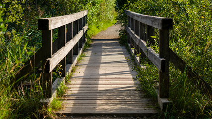 Holzbrücke am Fuschlsee Rundweg