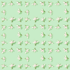 Seamless regular creative pattern with bud of dry white flower alstroemeria on green.