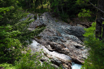 stream in the forest