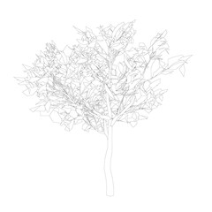 The contour of a tree from black lines on a white background. Isolated tree on a white background. Vector illustration