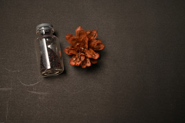 Dried vegetable seeds were put inside bottle isolated on colorful background 