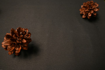 Dried pine flowers usually used for decoration or crafts. Its so antique and unique.