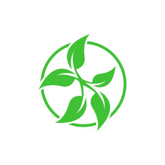 Plant leaf illustration