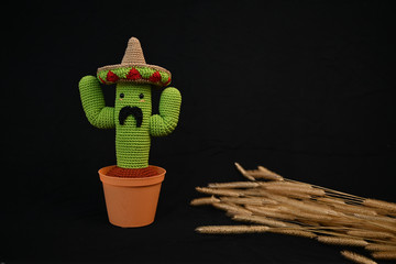 The beautiful cactus which made with love for people loving handmade craft isolated on black background