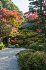 The fall foliage in Kyoto is especially beautiful.