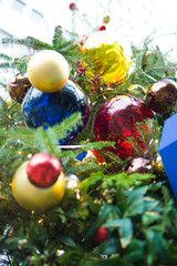 Fototapeta premium ツリー