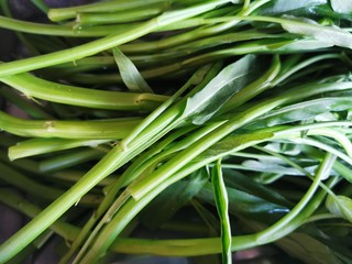 Obraz premium fresh vegetables used for cooking contain vitamins that benefit the body.