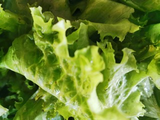 fresh vegetables used for cooking contain vitamins that benefit the body.