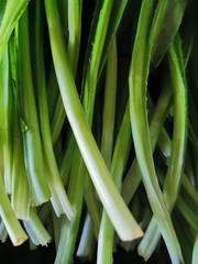 fresh vegetables used for cooking contain vitamins that benefit the body.